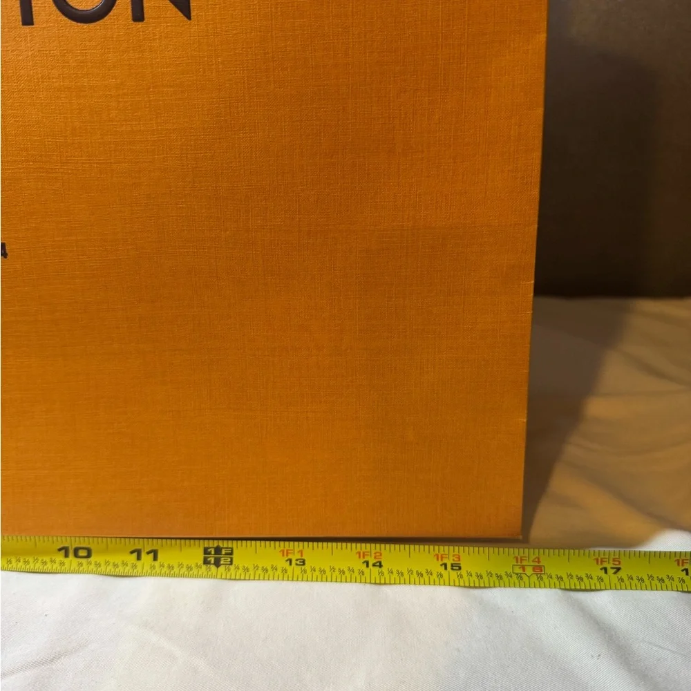 Louis Vuitton gift bag